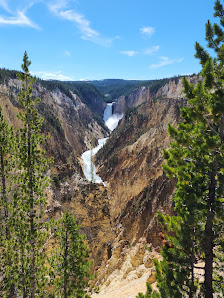 Yellowstone National Park thumb 9